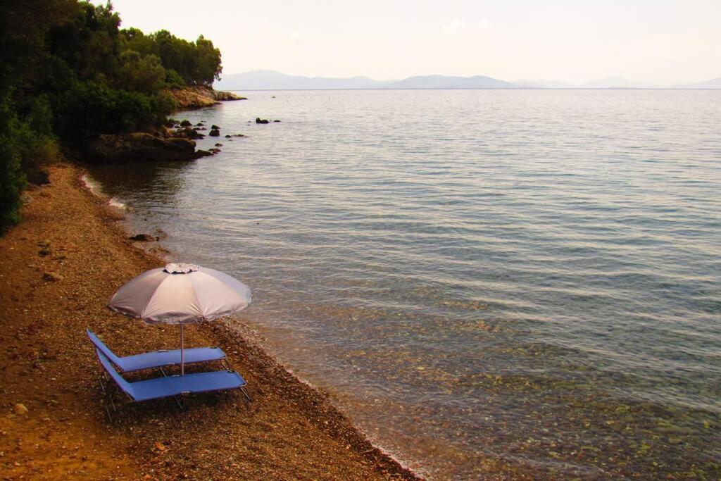 Christie'S Ground Floor Apartment By The Sea Като Гатзея Екстериор снимка